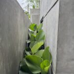 Details 1