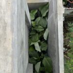 Details 2