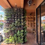 Outdoor Seating Area 5