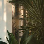 Details 2